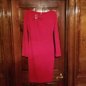 Beautiful figure flattering dress w/split sleeves